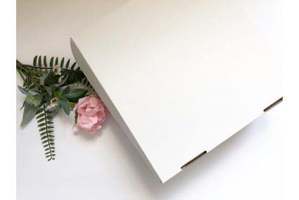 Коробка з крафт-картону 260*260*90мм біла