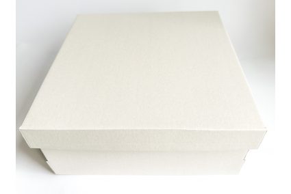 Коробка з крафт-картону 250*250*110мм біла