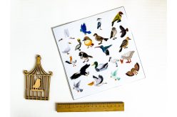 Фетр корейський жорсткий з візерунком птахи реалістичні 20х20 см