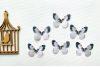 Метелик двосторонній з шифону біло-чорний 50*40мм