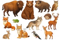 Фетр жесткий с узором "Зверята лесные" 20х30см