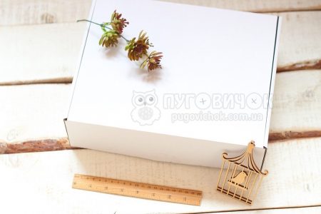 Коробка з крафт-картону 300*240*90мм біла
